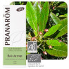 Huile essentielle bois de rose bio - Pranarôm