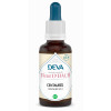 Centauree - Centaury 15 ml - DEVA