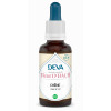 Chene - Oak 15ml - DEVA