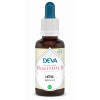 Hetre - Beech 15ml - DEVA