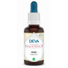 Houx - Holly 15ml - DEVA