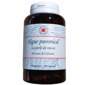 Algae Padina pavonica 150 gélules - Vecteur Energy