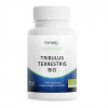 Tribulus terrestris BIO - Dyneo